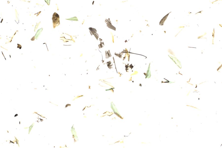 Image 29